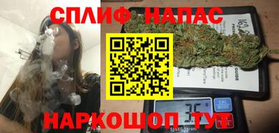 a pvp Кингисепп