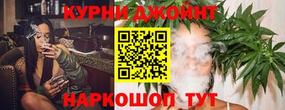 a pvp Кингисепп