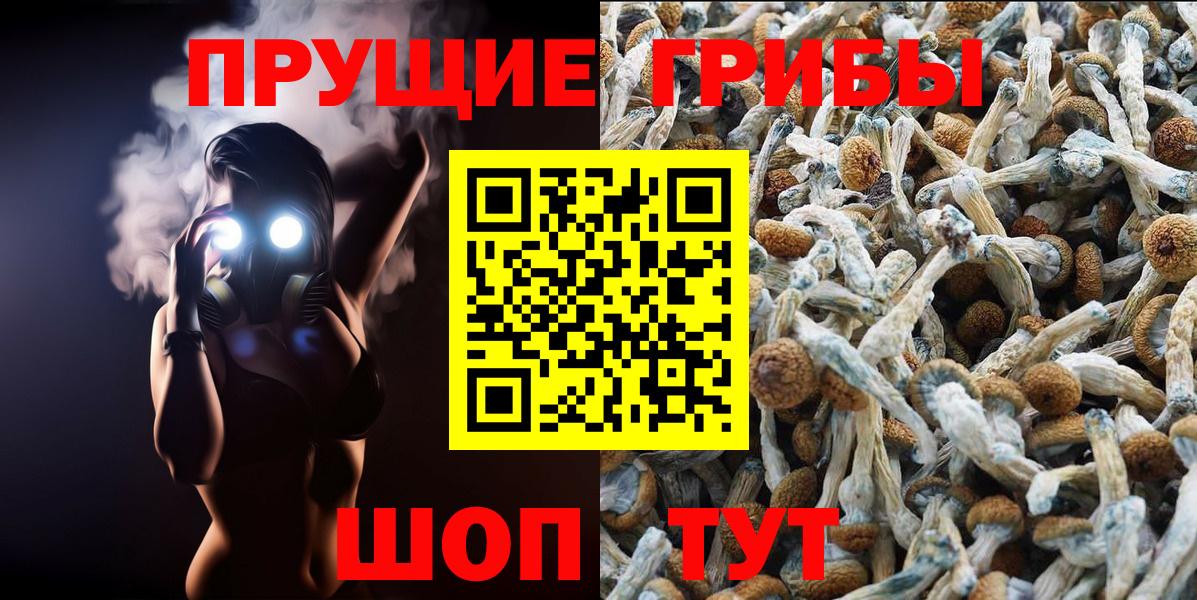 Псилоцибиновые грибы Psilocybe Корсаков