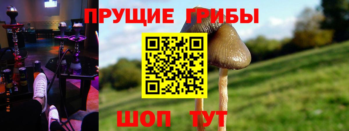 Галлюциногенные грибы ЛСД  Вход с VPN  Корсаков 